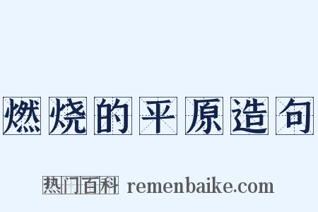 燃烧的平原造句是什么意思的图片